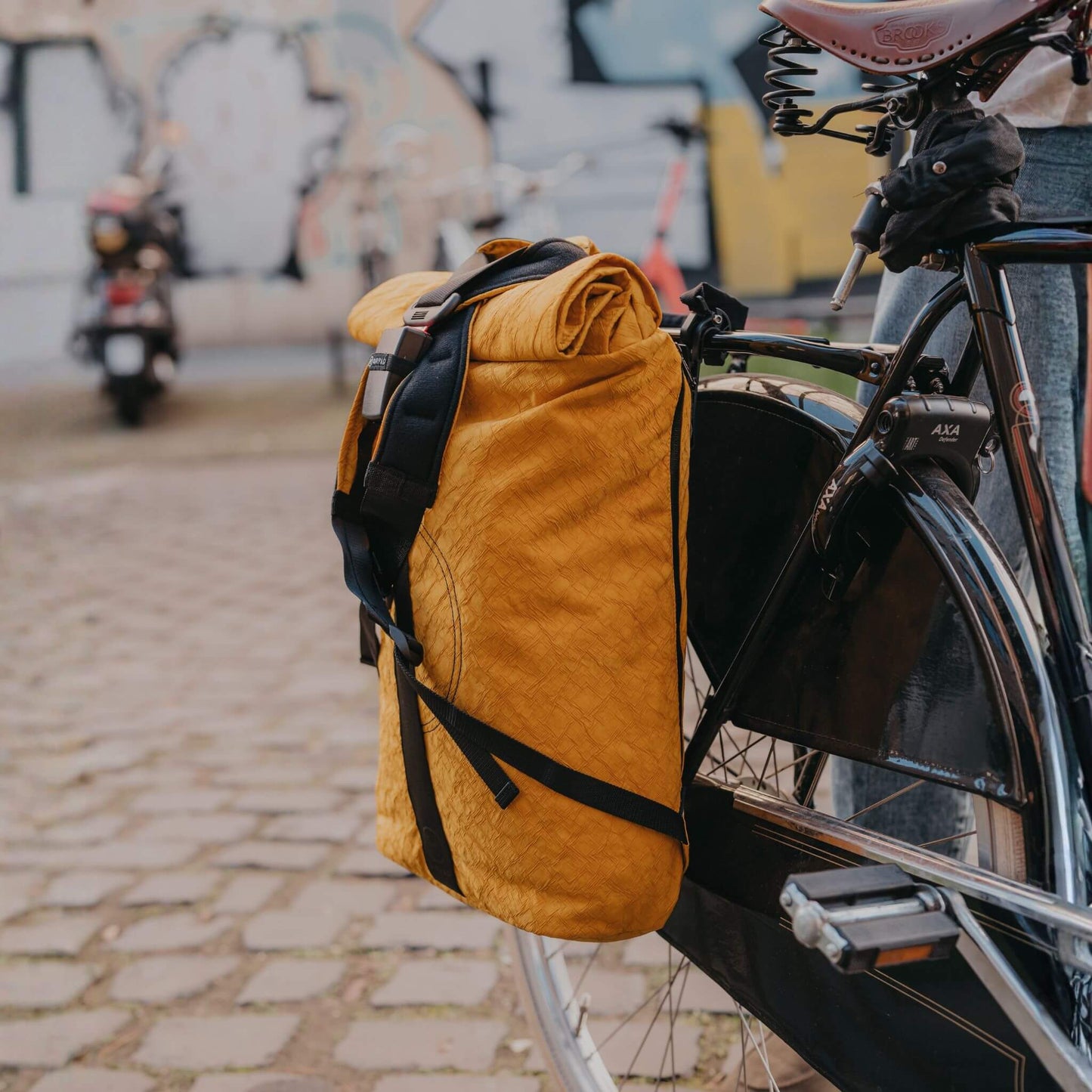 Rolltop BIQ + Fahrradhaken