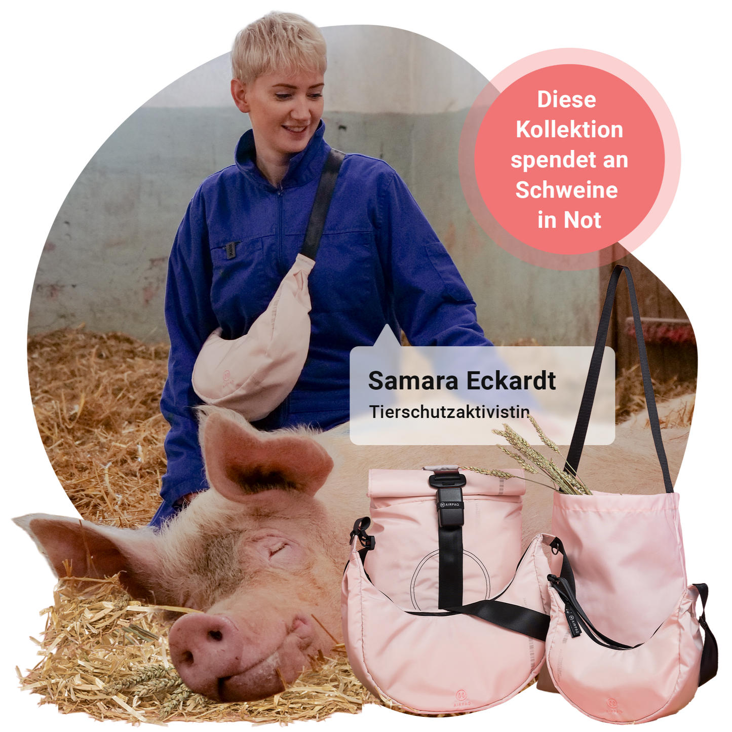 Schweine Bundle