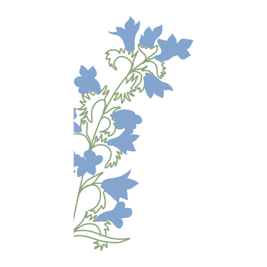 Gewöhnlicher Natternkopf, Stickmotiv der Robinga-Edition